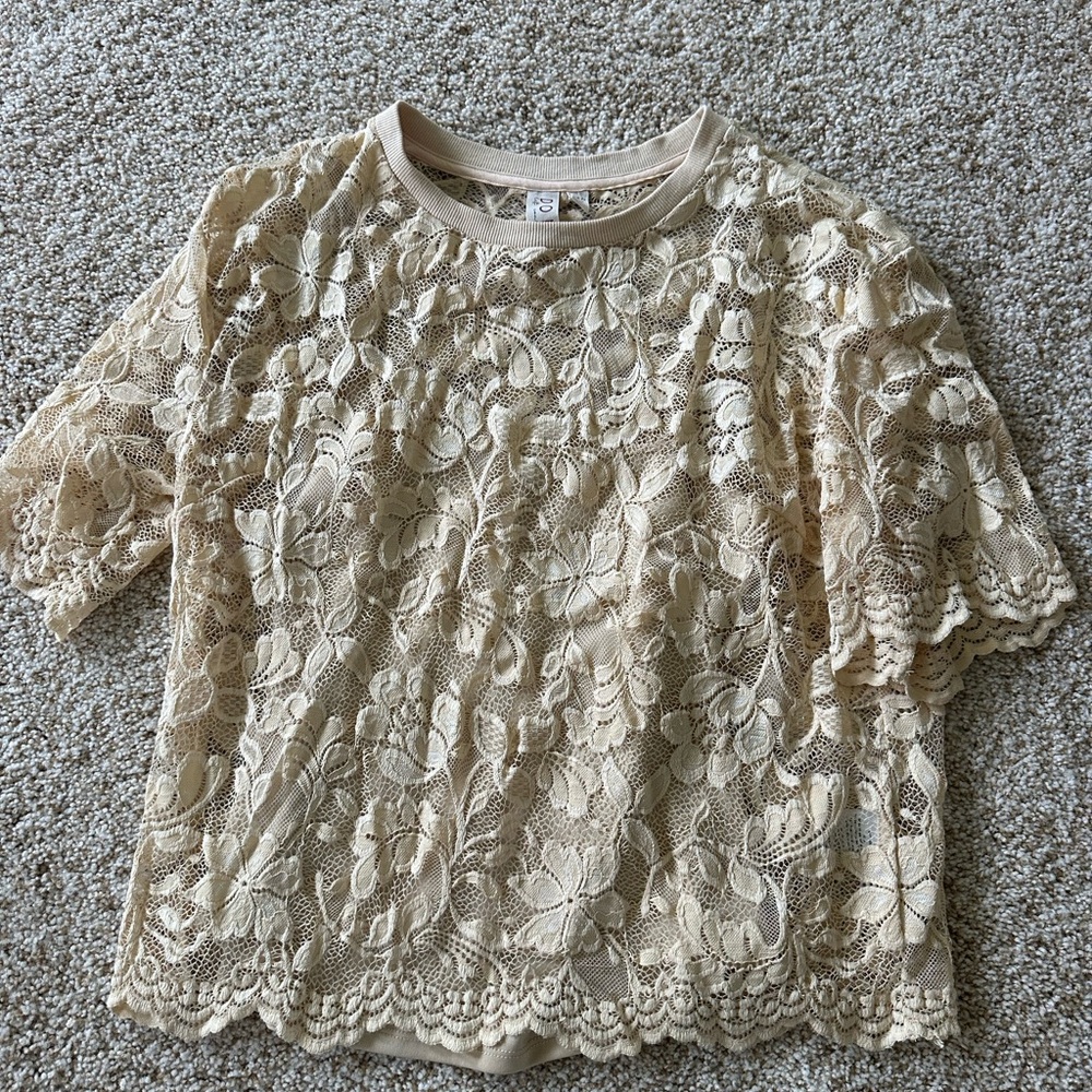 Elegant Lace Beige Top
